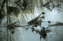 Jetsam